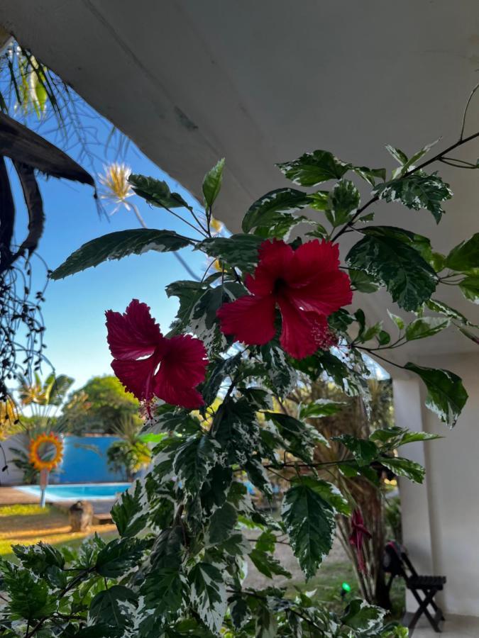 Eco Suites Caravelas Cabo Frio Kültér fotó